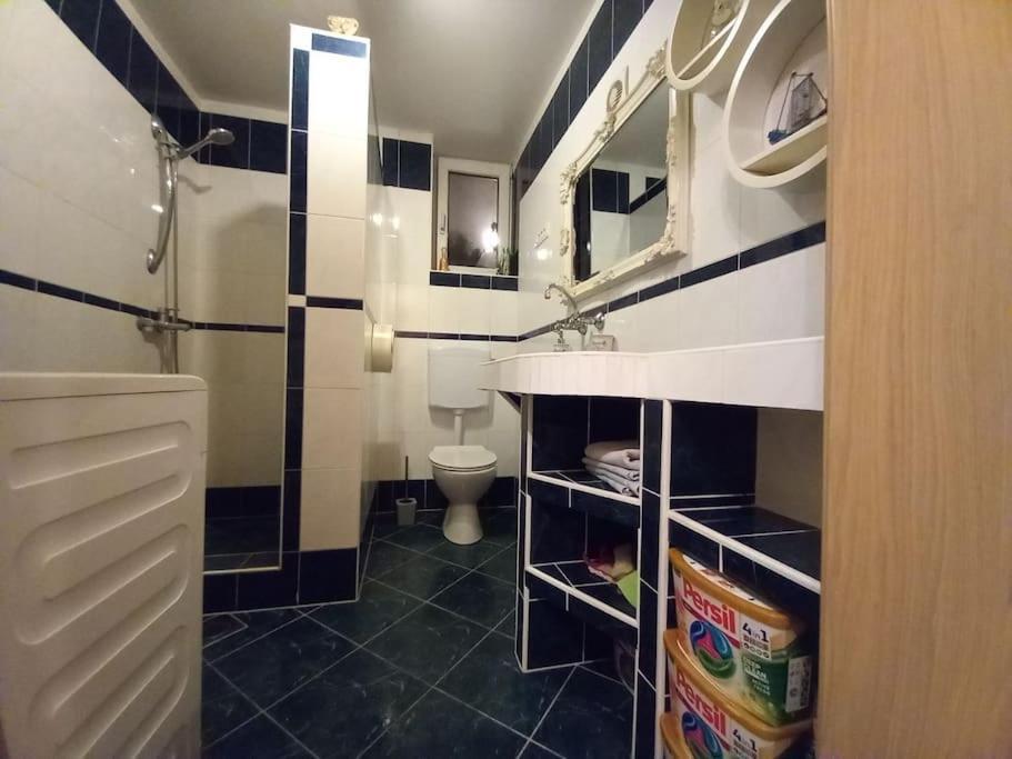 Near By Capital Of Slovenia Apartment
