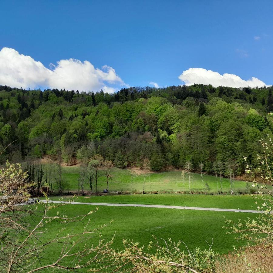 Apartment Near By Capital Of Slovenia Ljubljana