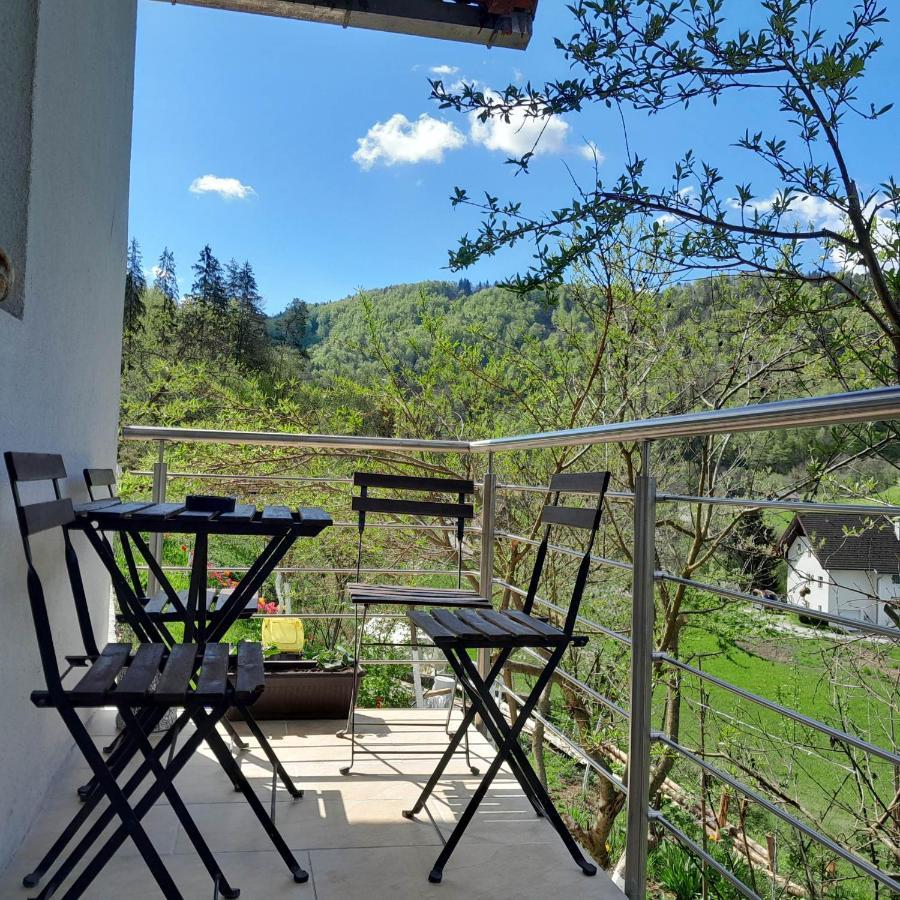 Near By Capital Of Slovenia Apartment
